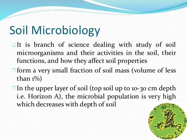 Soil Microbiology